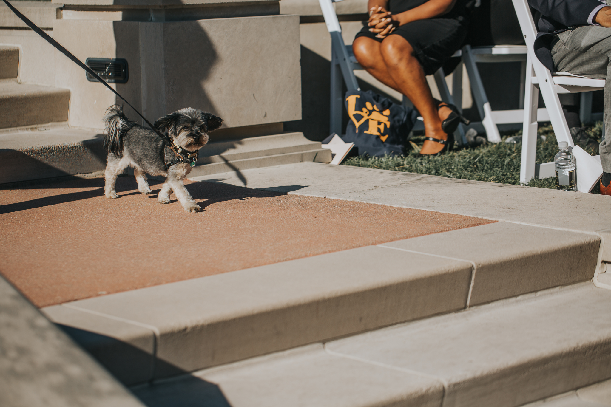 Indianapolis Wedding Photographers