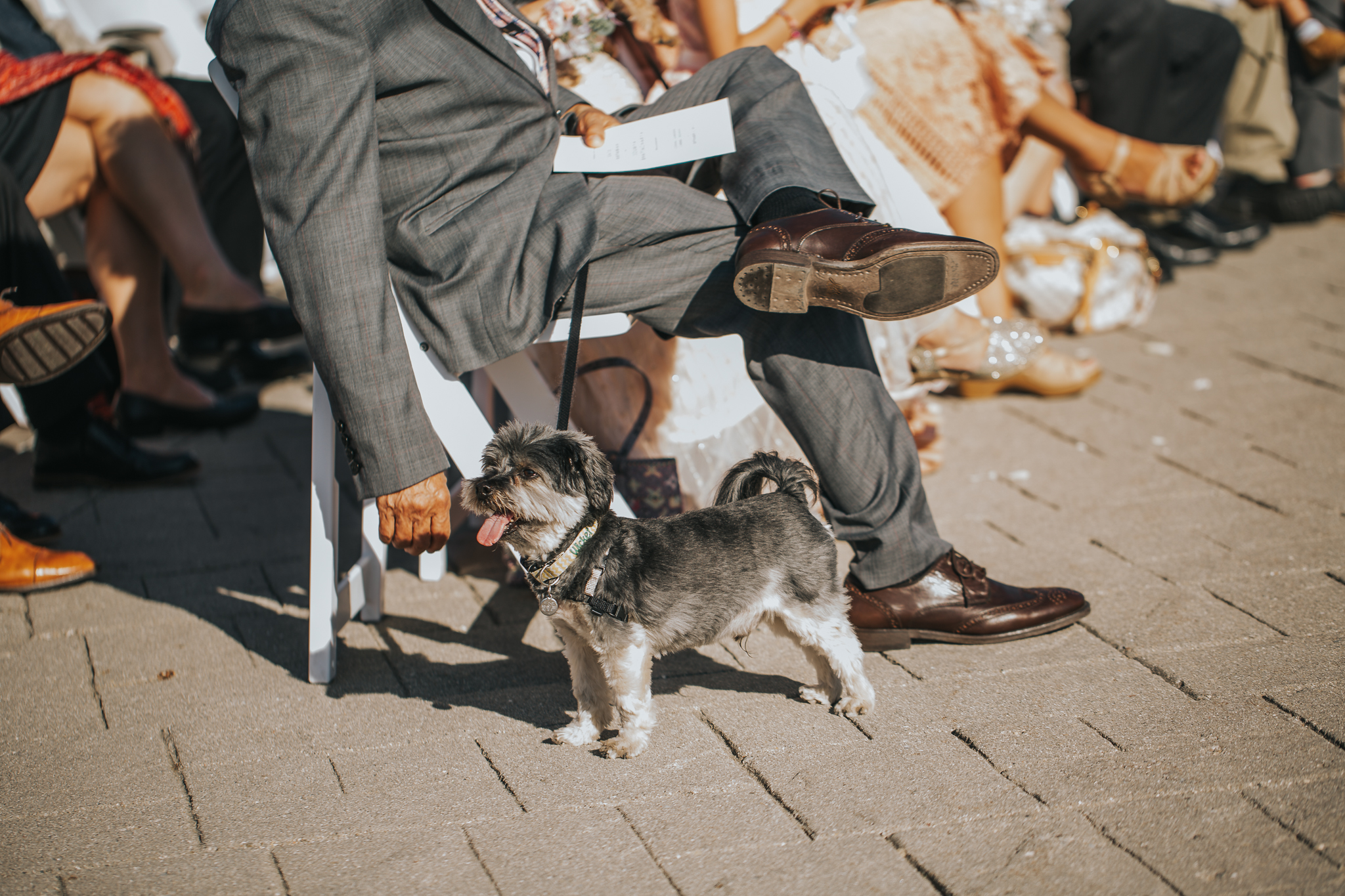 Indianapolis Wedding Photographers