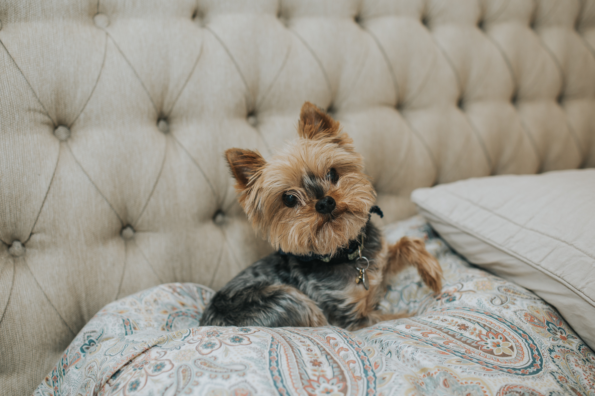 Indianapolis Wedding Photographers