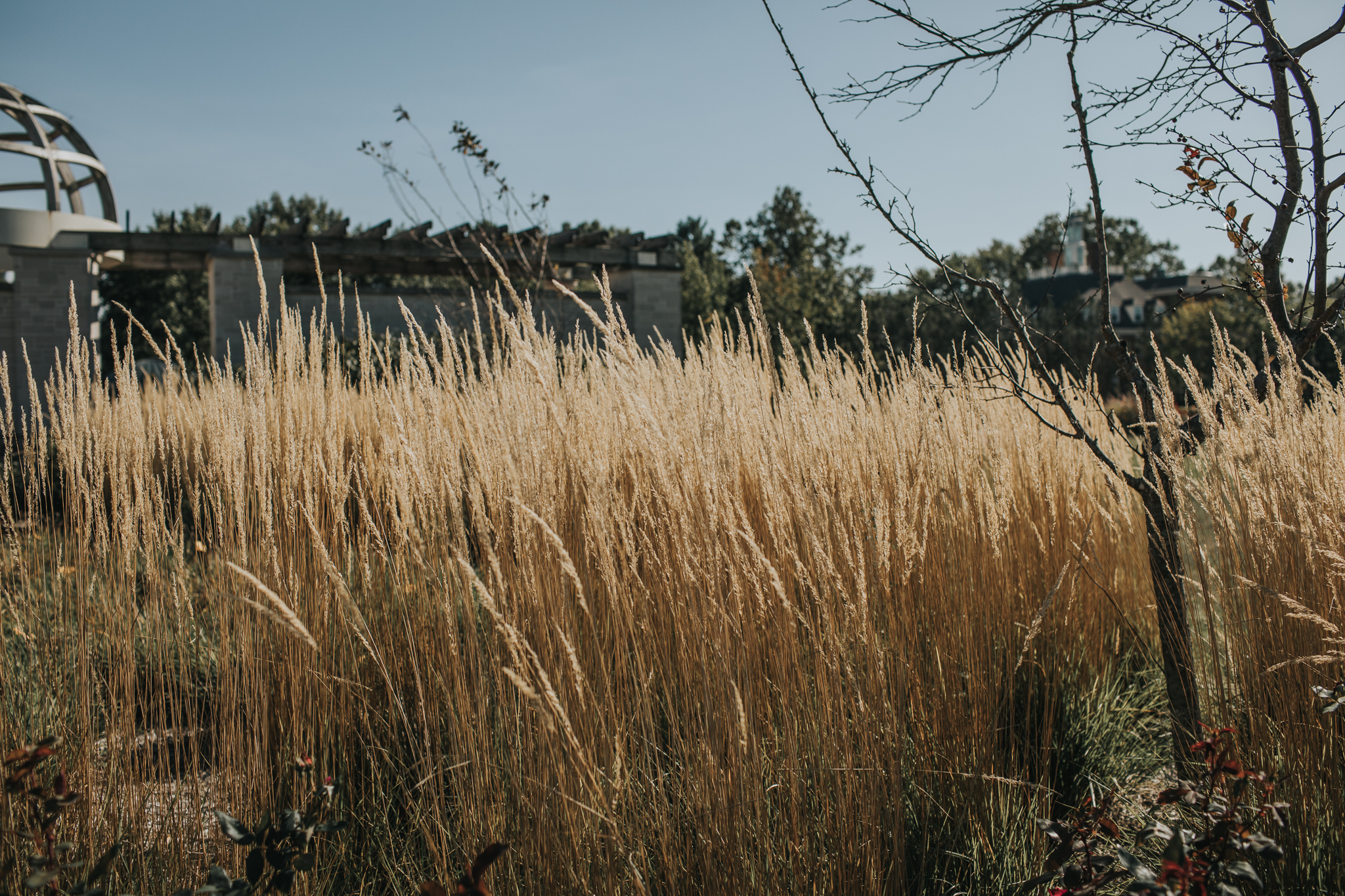 Indianapolis Wedding Photographers