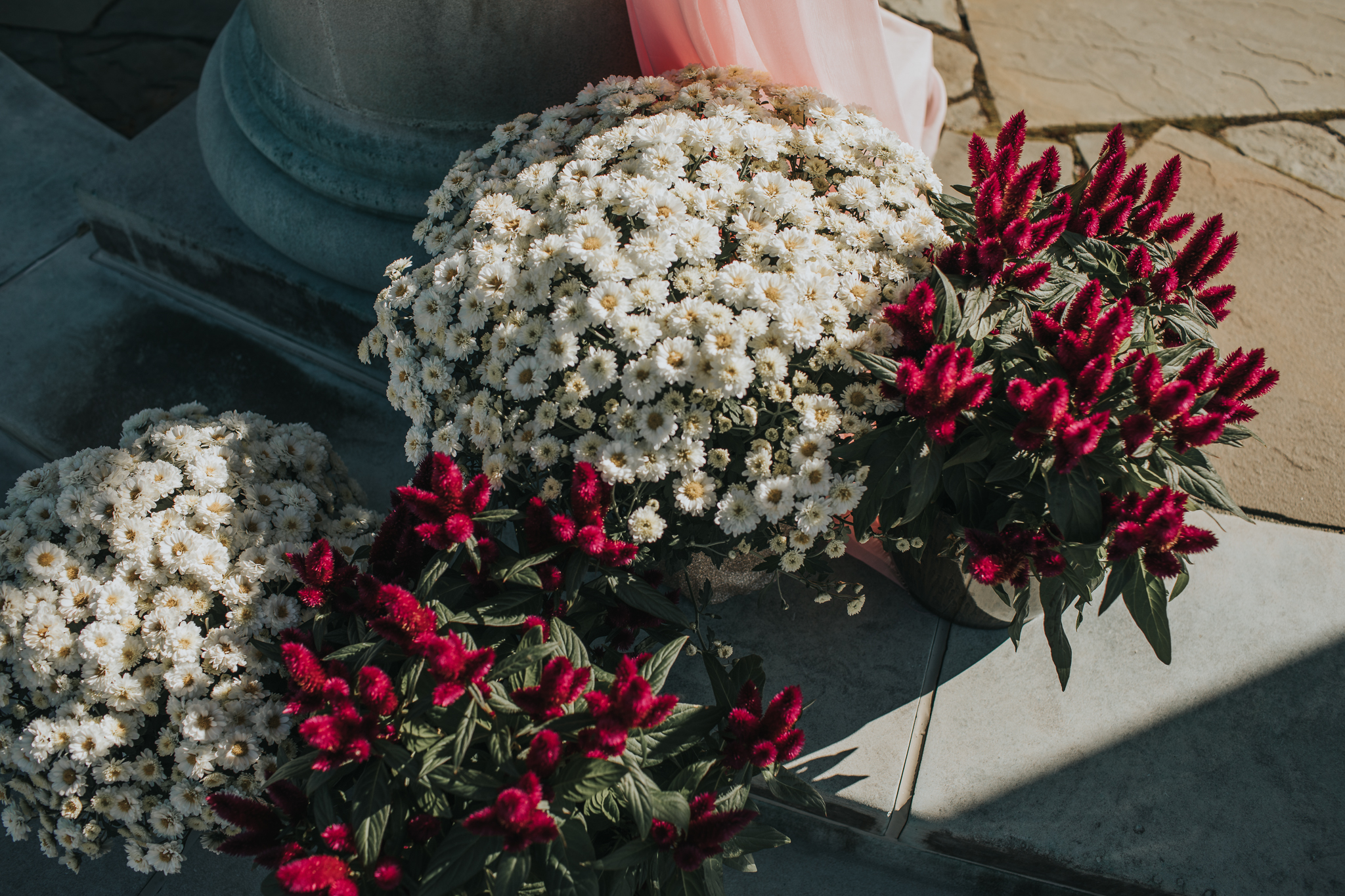 Indianapolis Wedding Photographers