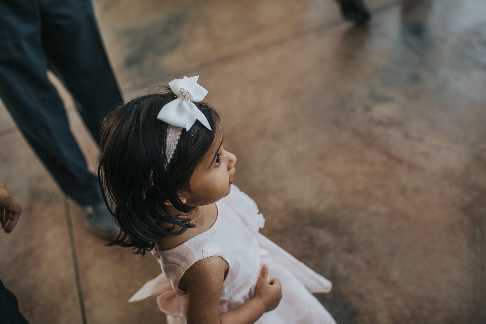 Indianapolis Wedding Photographers