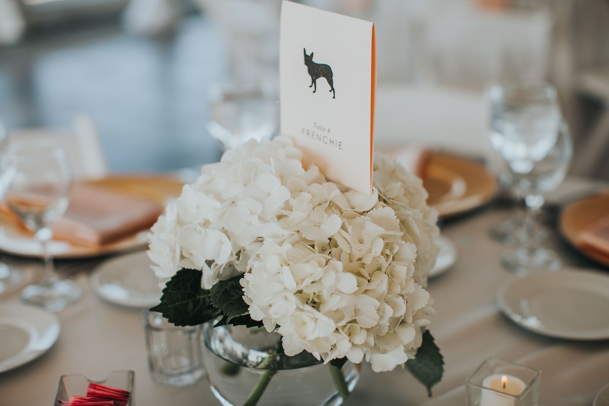 Indianapolis Wedding Photographers