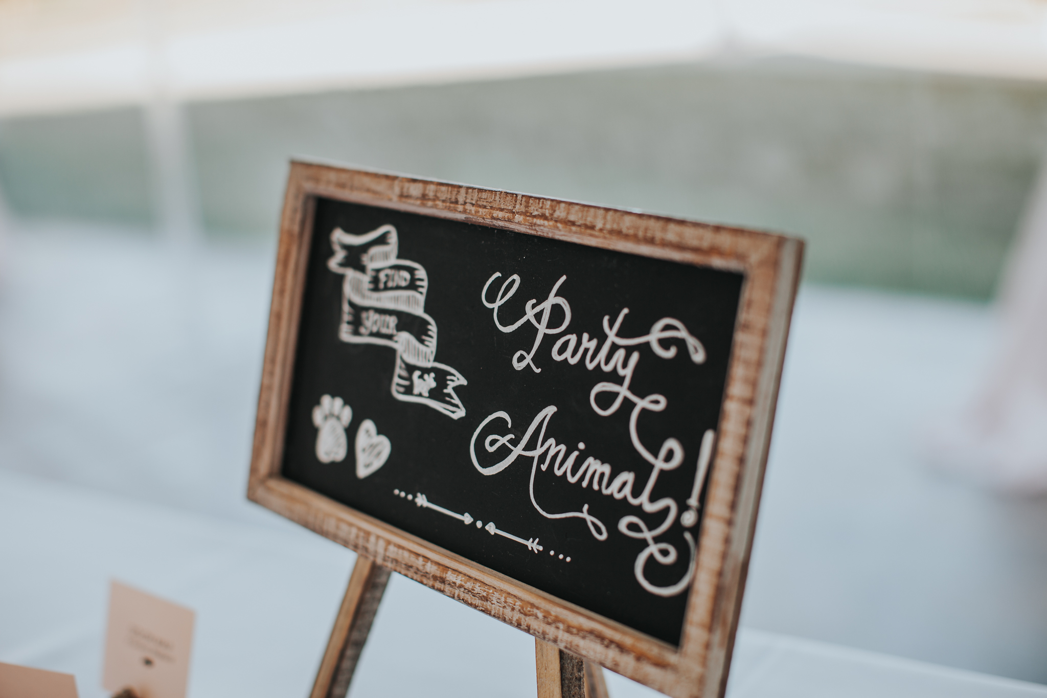 Indianapolis Wedding Photographers