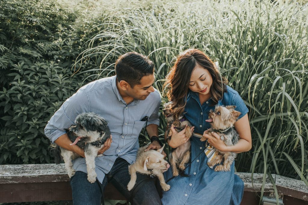 indianapolis wedding photographers