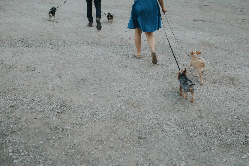 traders point creamery engagement