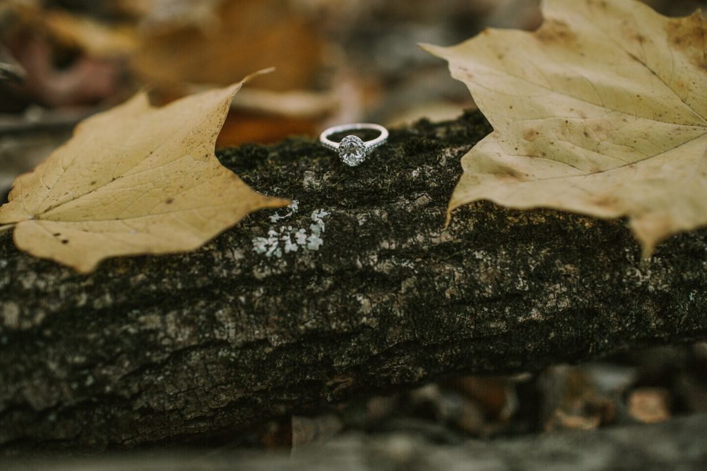 indianapolis wedding photographers