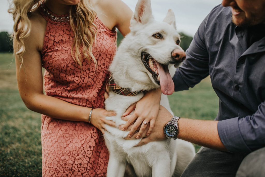 indianapolis wedding photographers