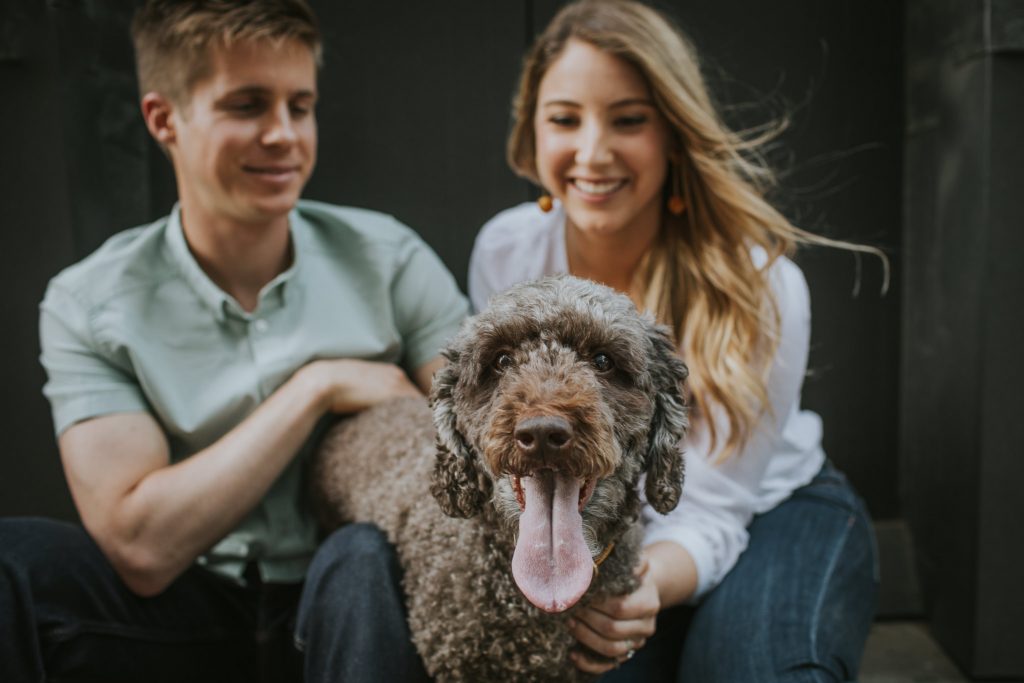 indianapolis wedding photographers