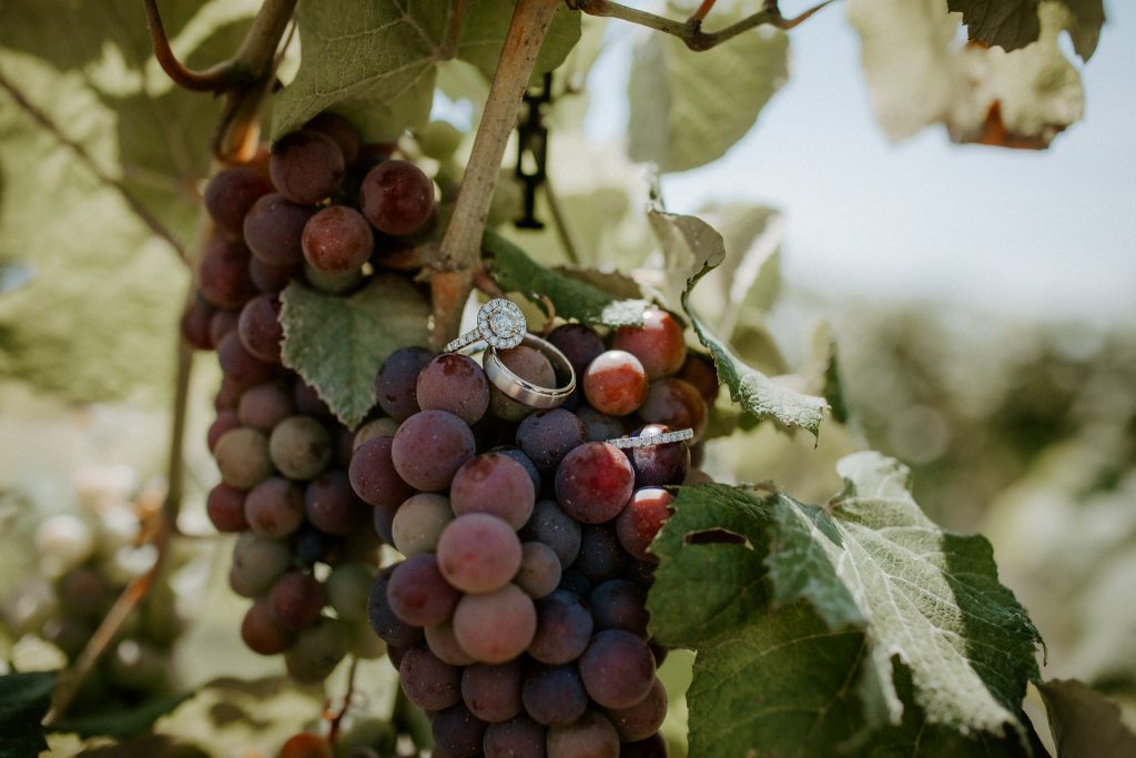 Indianapolis Wedding Photographers