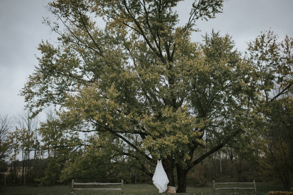 Indianapolis Wedding Photographers