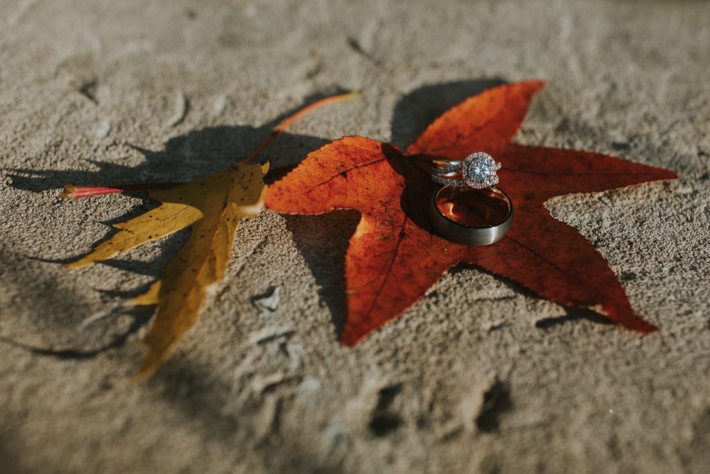 Indianapolis Wedding Photographers