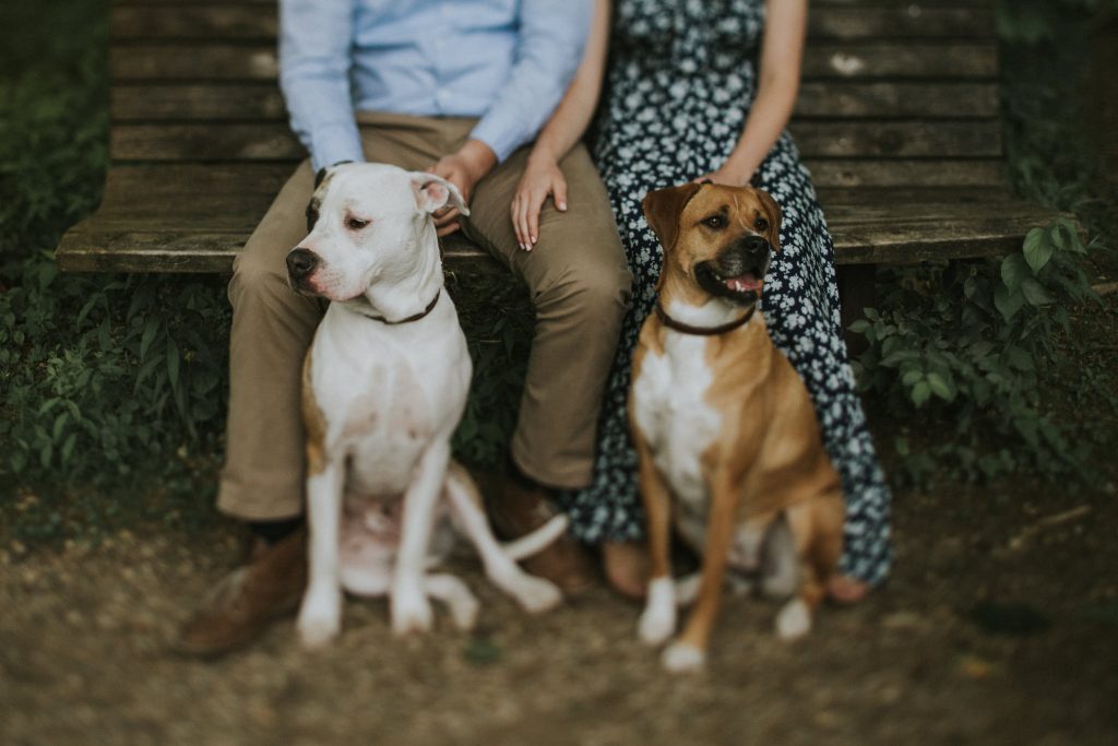 indianapolis wedding photographers