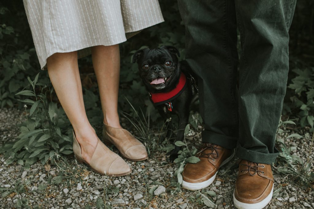 indianapolis wedding photographers