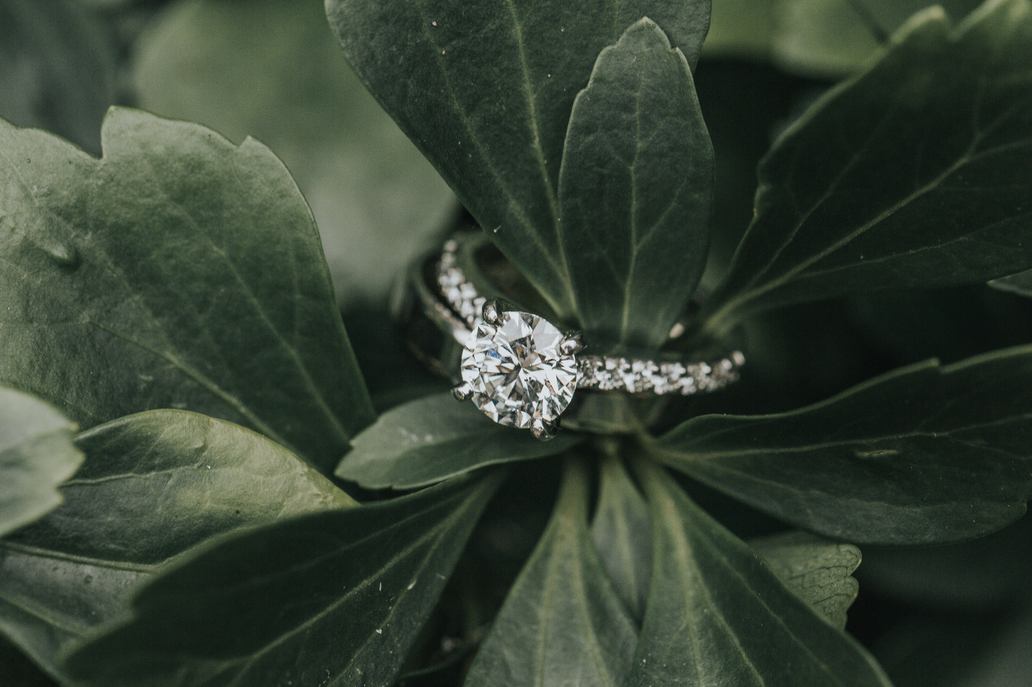 Indianapolis Wedding Photographers