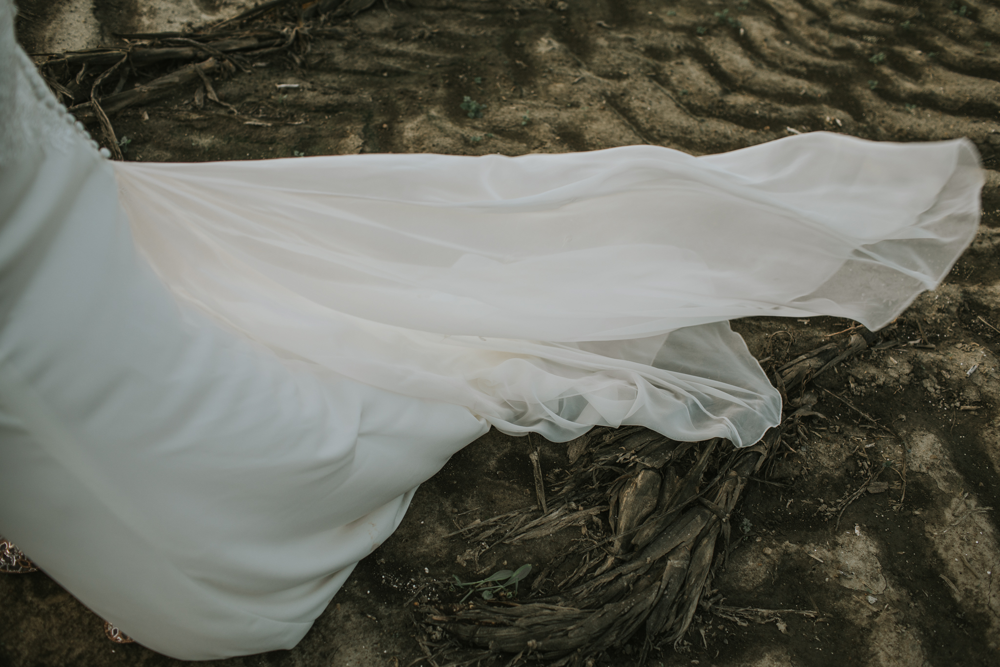 Indianapolis Wedding Photographers