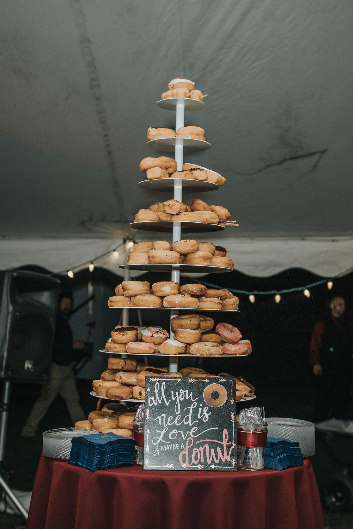 Indianapolis Wedding Photographers