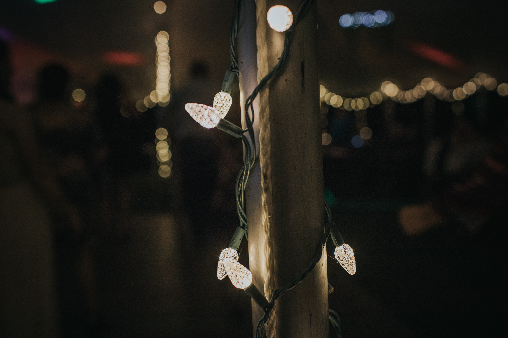 Indianapolis Wedding Photographers