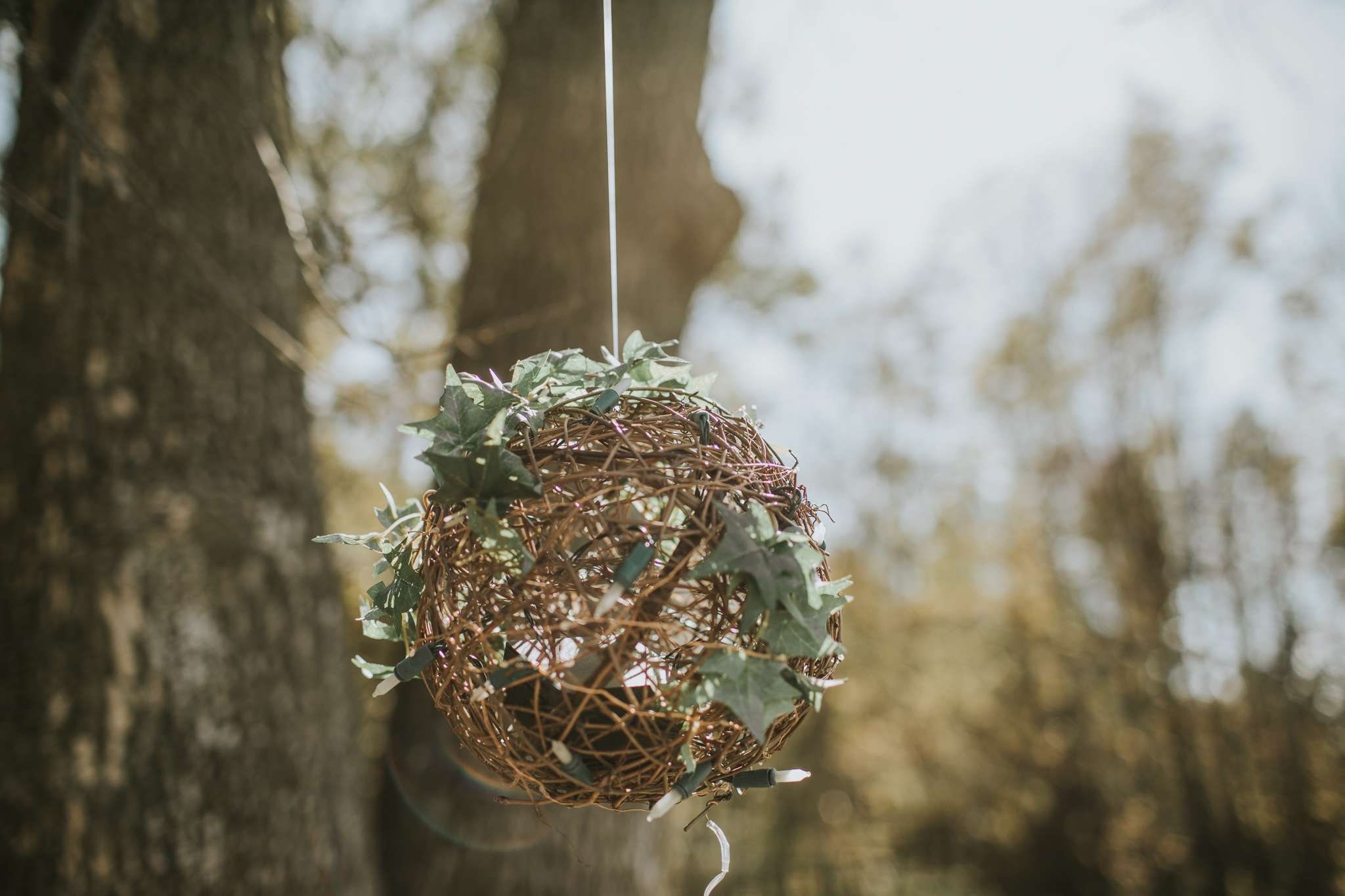 Indianapolis Wedding Photographers