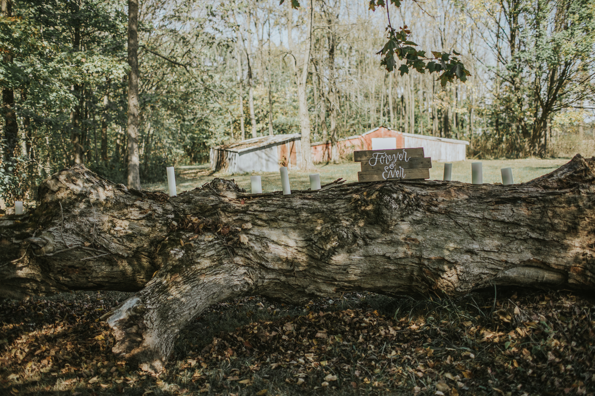 Indianapolis Wedding Photographers