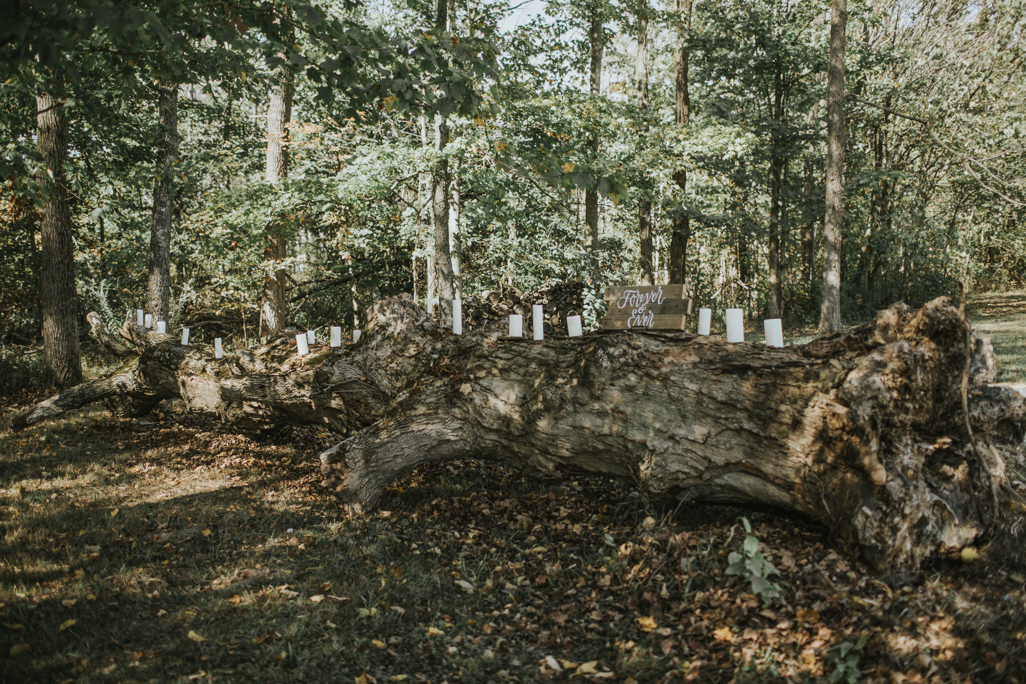 Indianapolis Wedding Photographers