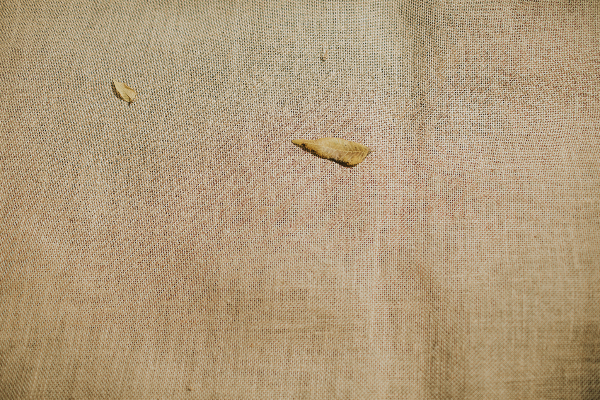 Indianapolis Wedding Photographers