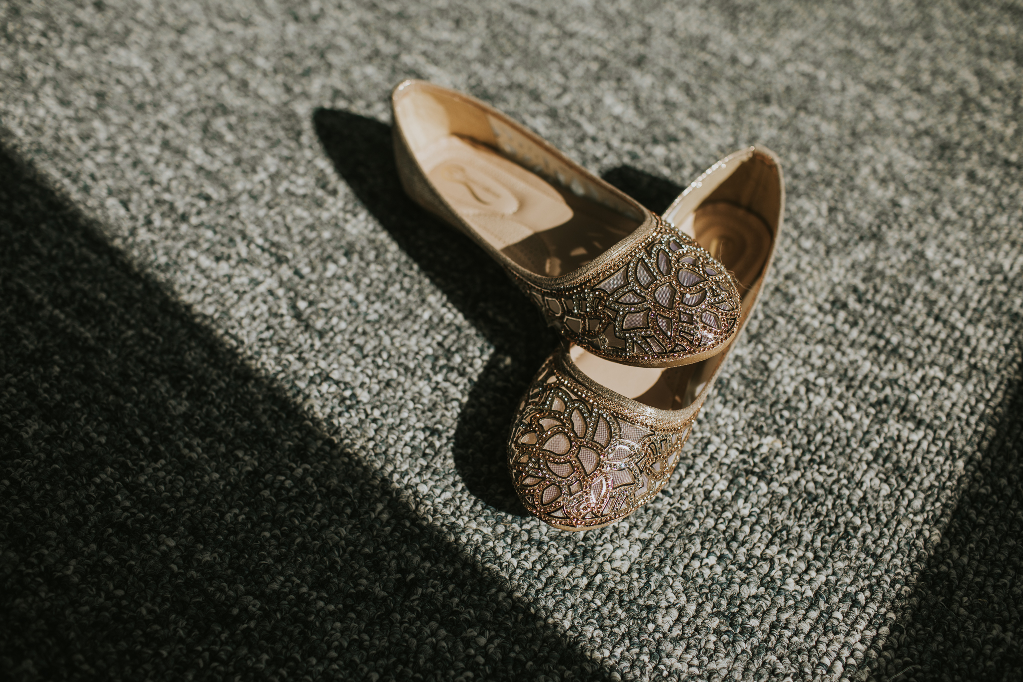 Indianapolis Wedding Photographers