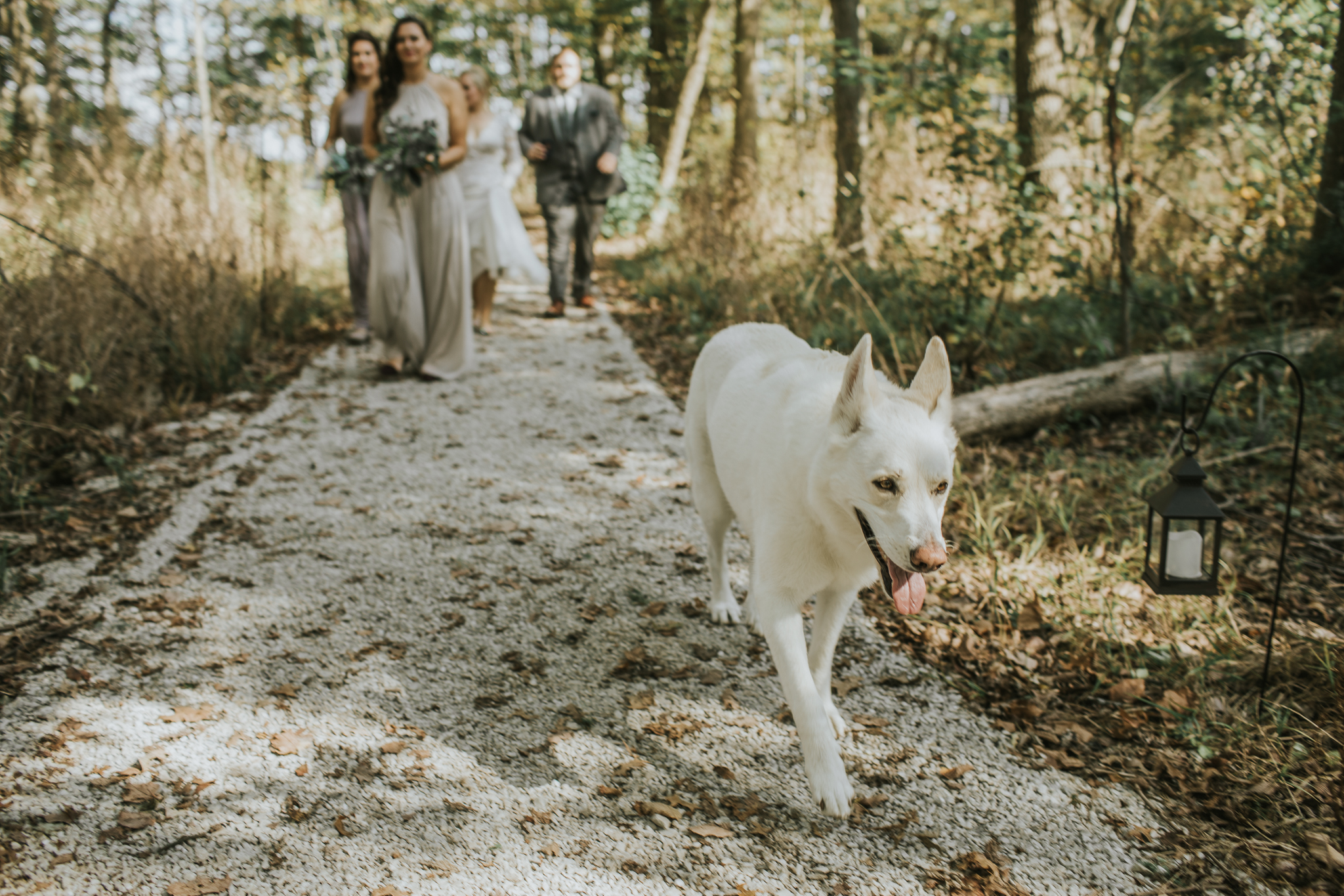 Indianapolis Wedding Photographers