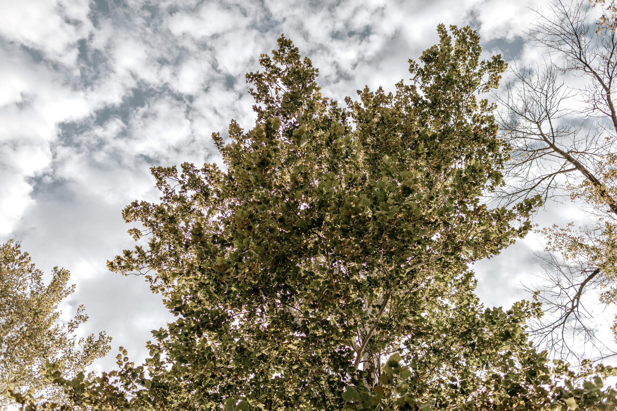 Indianapolis Wedding Photographers