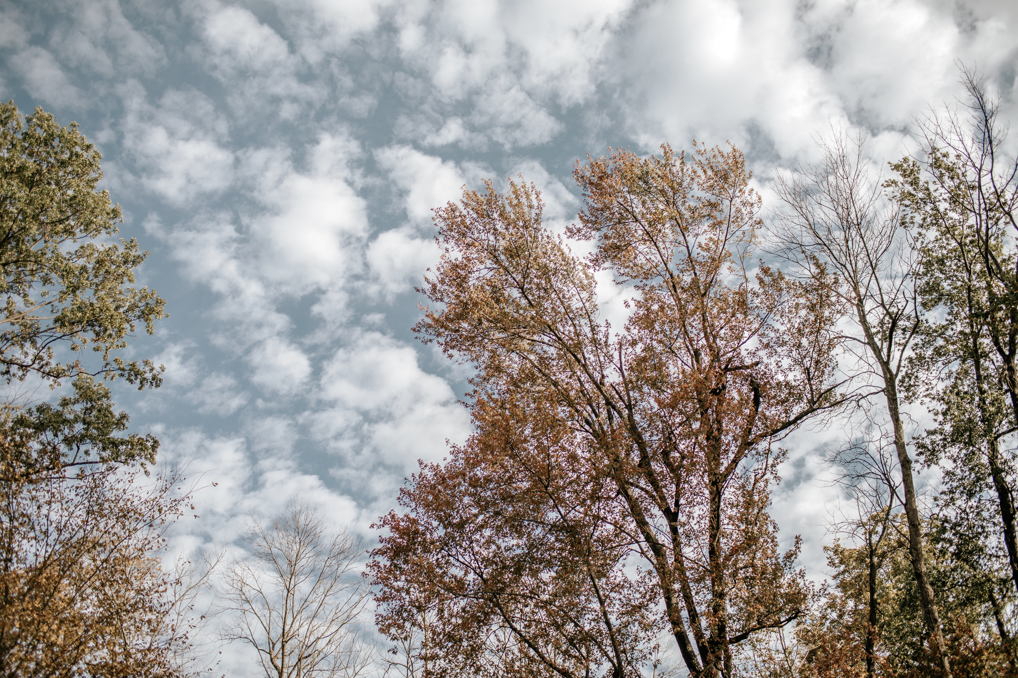 Indianapolis Wedding Photographers