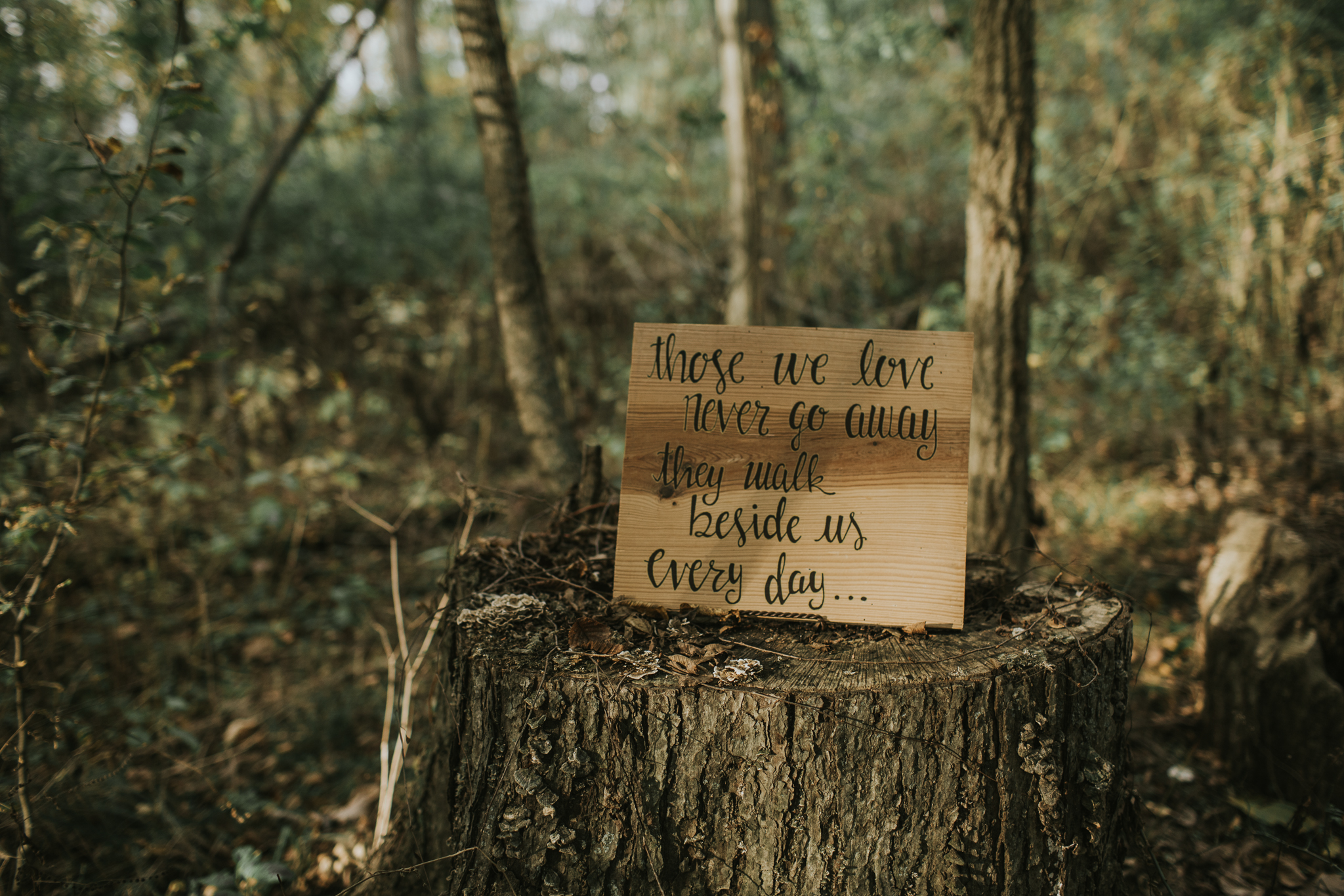 Indianapolis Wedding Photographers