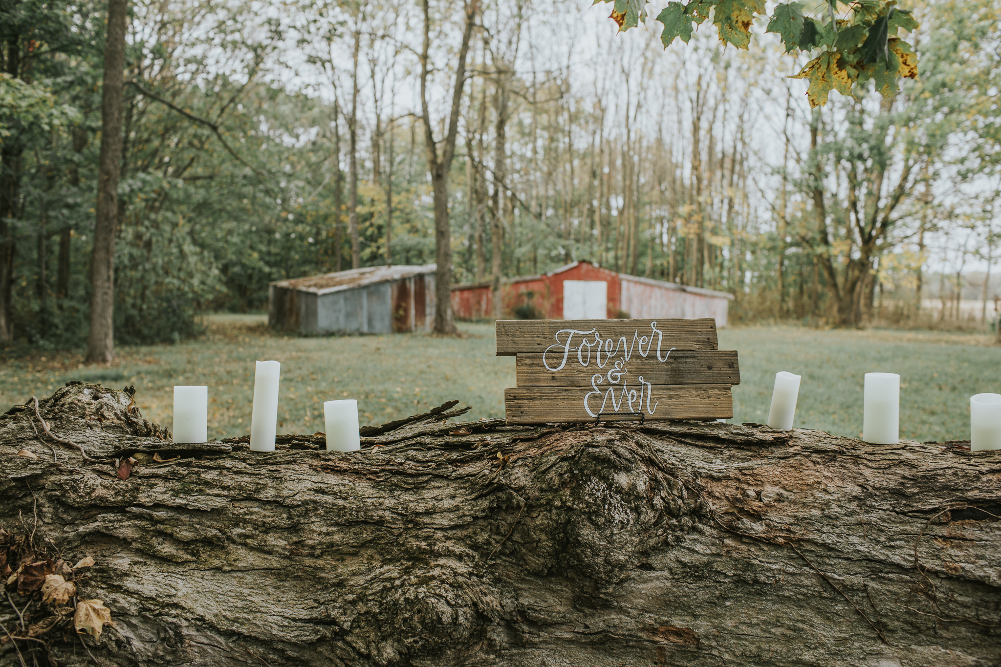 Indianapolis Wedding Photographers