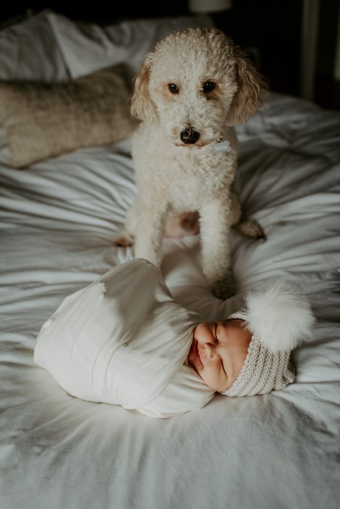 Indianapolis Wedding Photographers