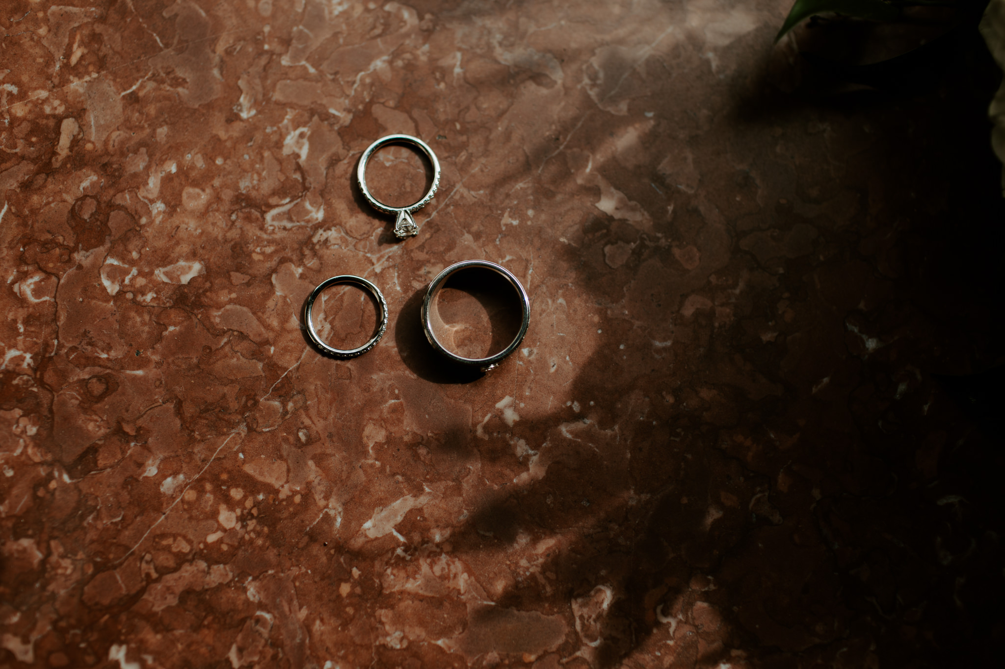 Indianapolis Wedding Photographers