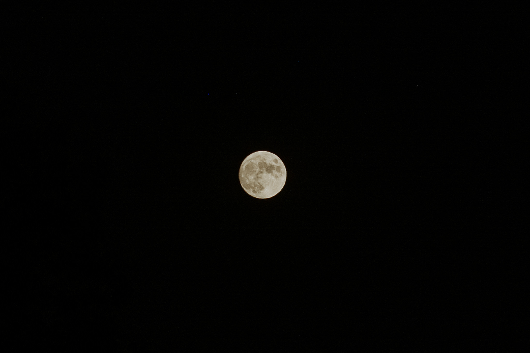 Indianapolis Wedding Photographers