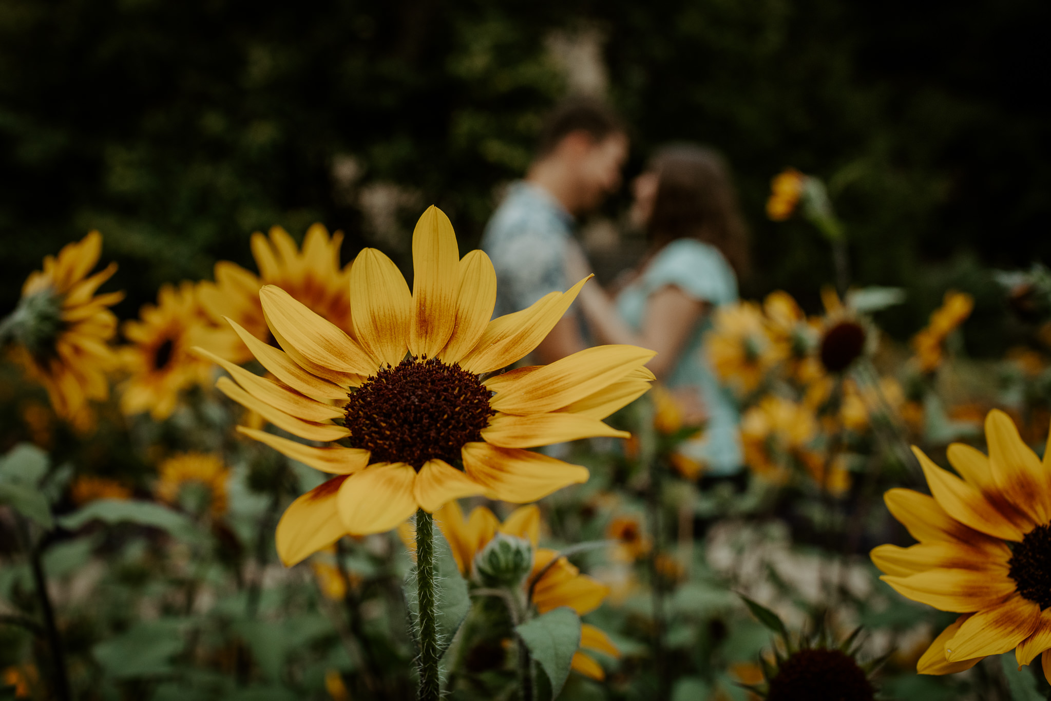 Indianapolis Wedding Photographers