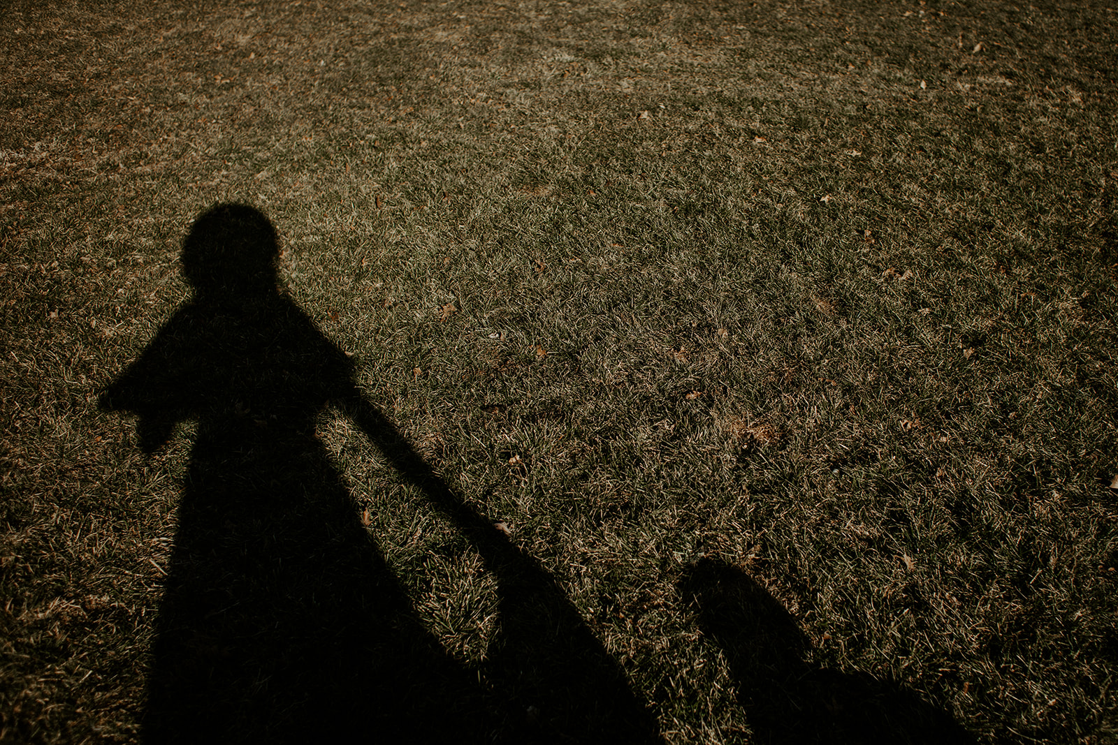 Indianapolis Wedding Photographers