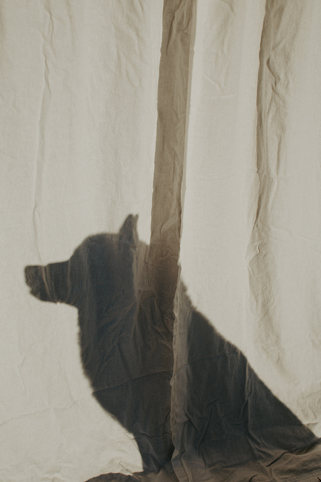 Indianapolis Wedding Photographers